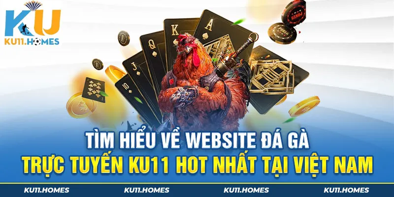 Tìm hiểu về website đá gà trực tuyến Ku11 hot nhất tại Việt Nam